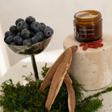 Barrier Cream-Moisturizers + Creams-VO Beauty-rev skin and wellness best facial in denver colorado acne expert
